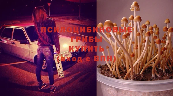 jwh Белая Калитва