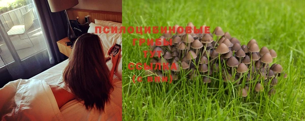 спиды Бежецк