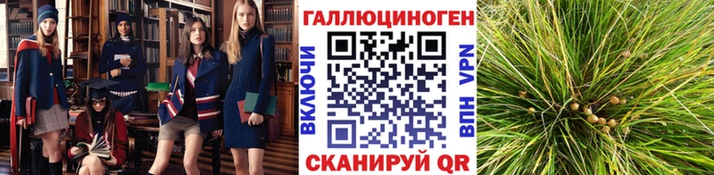 Галлюциногенные грибы MAGIC MUSHROOMS  дарнет шоп  Злынка 